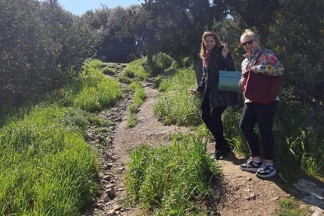 Private Walking Tour- 3000 years of History around the Acropolis Rock - Socrates’ Prison and the Dimitrios Pikionis paths to the pine-topped viewpoint